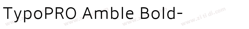 TypoPRO Amble Bold字体转换